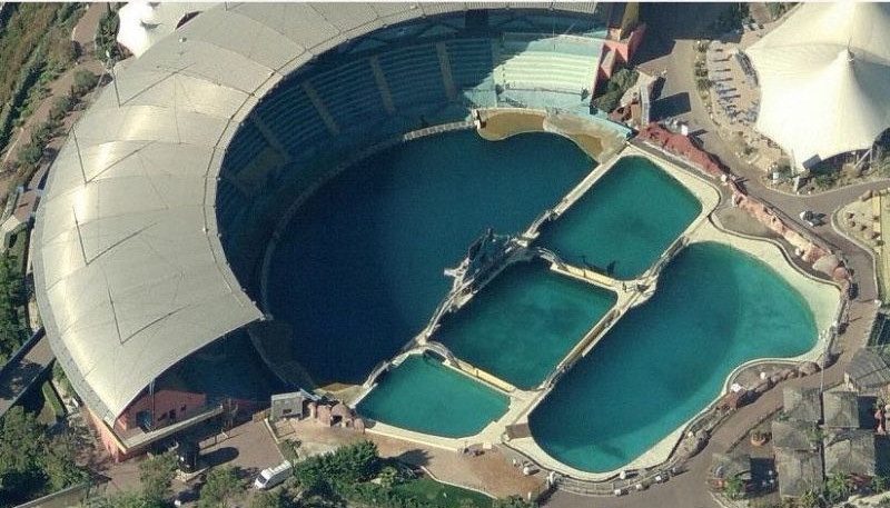 Seaworld Orca Tanks