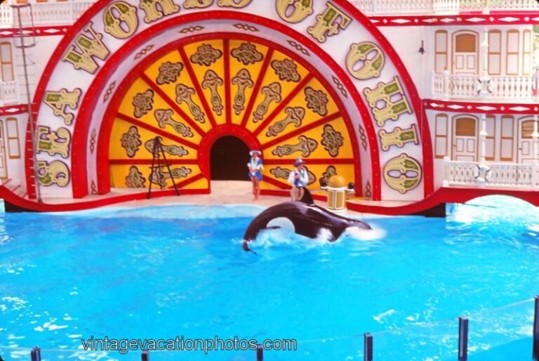 Kandu 5’s Gallery Inherently Wild