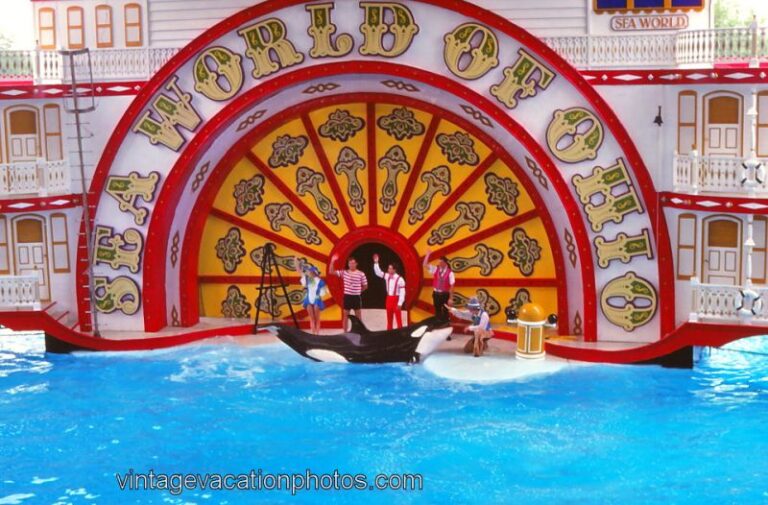 Kandu 5’s Gallery Inherently Wild